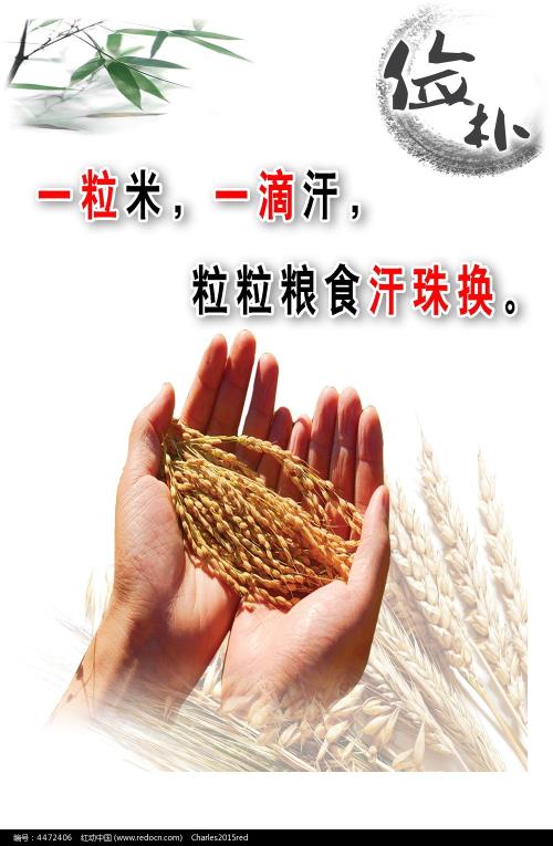 太平洋联合学院 Business degree certificate